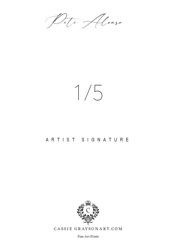 Pete Alonso New York Mets 1/5 Original One Of A Kind Card